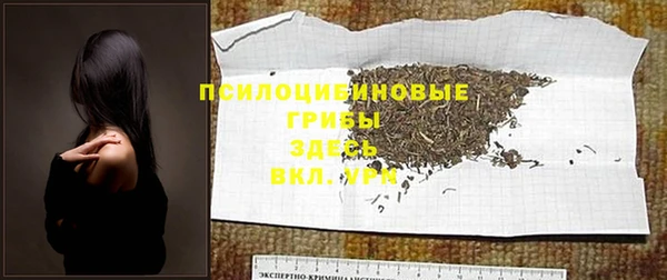 ПСИЛОЦИБИНОВЫЕ ГРИБЫ Медногорск