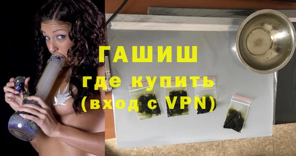 индика Михайловск