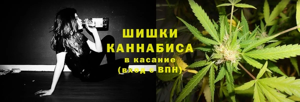 соль ск Медвежьегорск