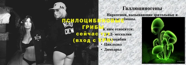 ПСИЛОЦИБИНОВЫЕ ГРИБЫ Медногорск