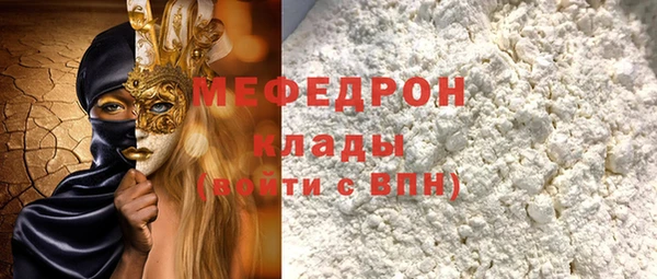 индика Михайловск