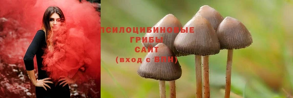 гашишное масло Михайлов