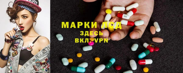индика Михайловск