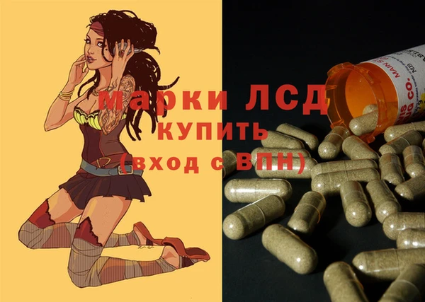 соль ск Медвежьегорск