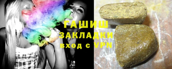 индика Михайловск