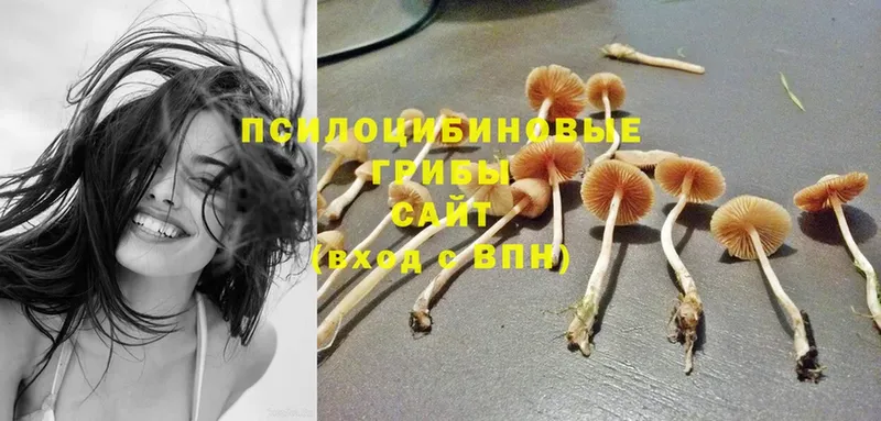 hydra ONION  Куйбышев  Псилоцибиновые грибы Psilocybine cubensis  наркошоп 