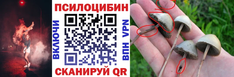Псилоцибиновые грибы Psilocybine cubensis наркота Куйбышев