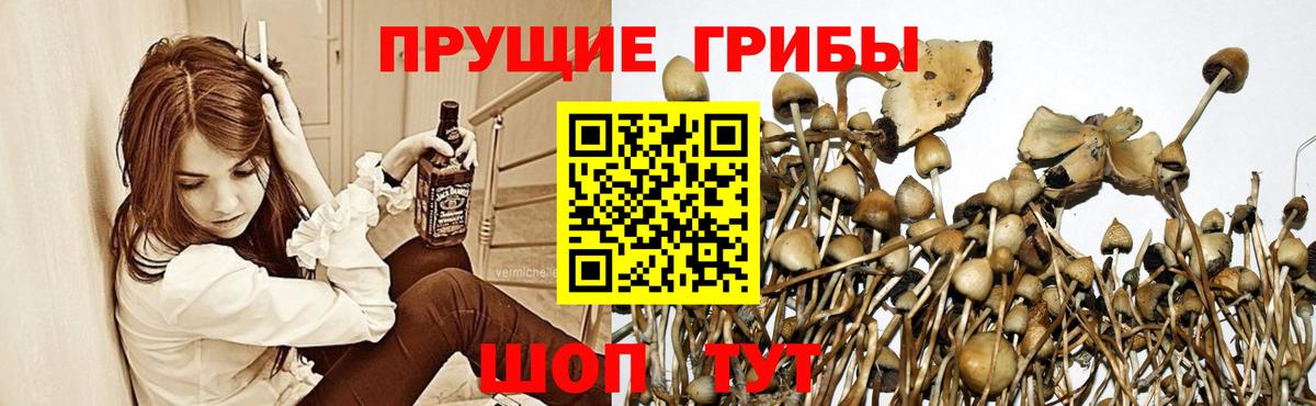 A-PVP СК   Куйбышев  МЕТАДОН  ГАШ  Мефедрон   МЕТ  Вход с VPN  Конопля  ЭКСТАЗИ 