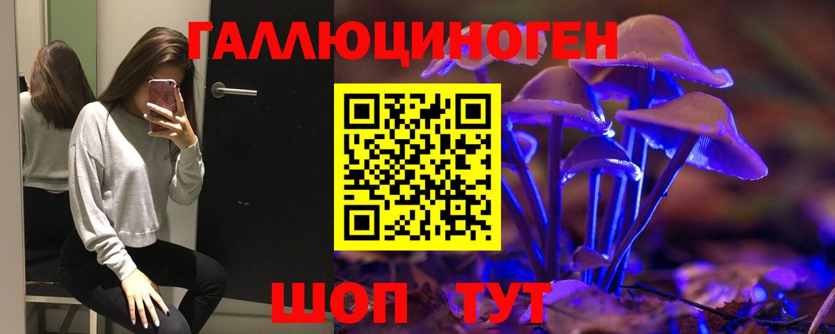 Псилоцибиновые грибы MAGIC MUSHROOMS  Вход с VPN  Куйбышев 